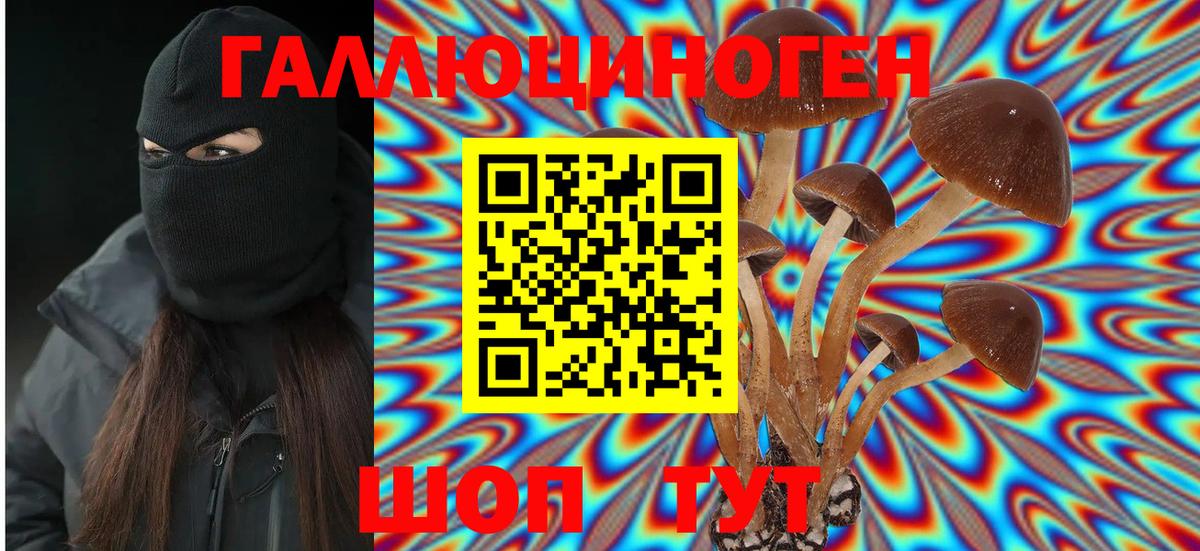 Псилоцибиновые грибы Psilocybine cubensis  Вход с VPN  Рассказово 